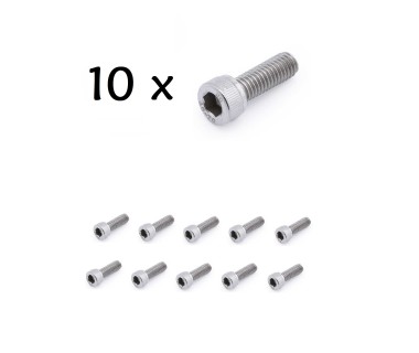 Vis cache plastique x10